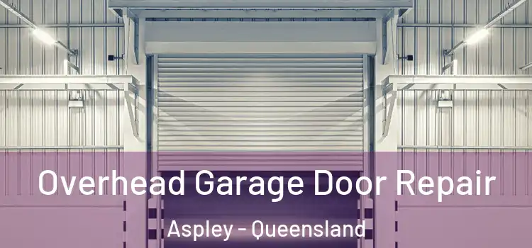 Overhead Garage Door Repair Aspley - Queensland