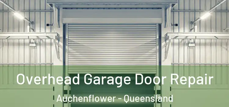 Overhead Garage Door Repair Auchenflower - Queensland