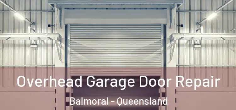 Overhead Garage Door Repair Balmoral - Queensland