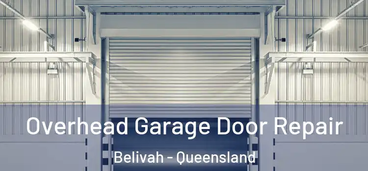 Overhead Garage Door Repair Belivah - Queensland