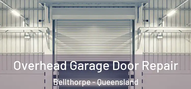 Overhead Garage Door Repair Bellthorpe - Queensland