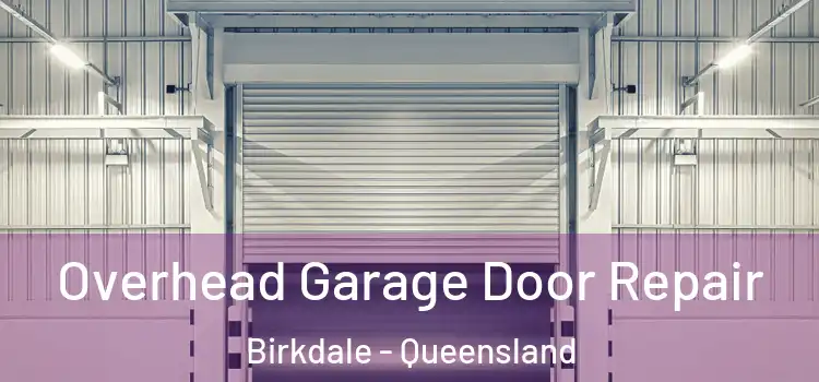 Overhead Garage Door Repair Birkdale - Queensland