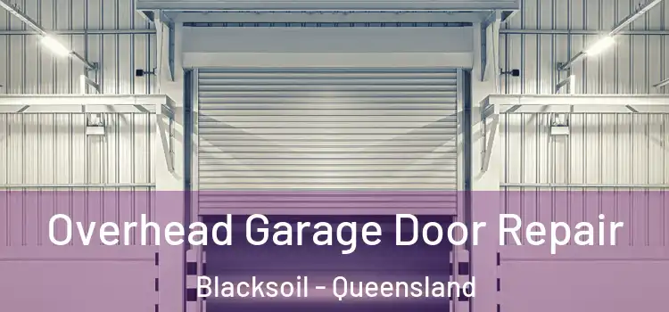Overhead Garage Door Repair Blacksoil - Queensland