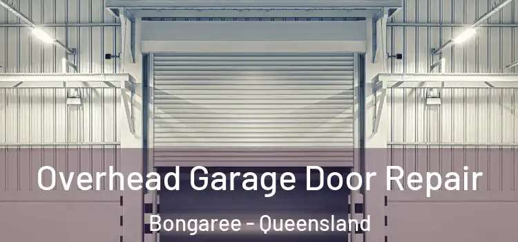 Overhead Garage Door Repair Bongaree - Queensland