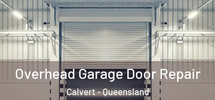 Overhead Garage Door Repair Calvert - Queensland