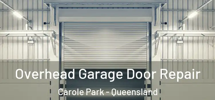 Overhead Garage Door Repair Carole Park - Queensland