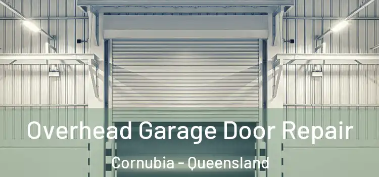 Overhead Garage Door Repair Cornubia - Queensland