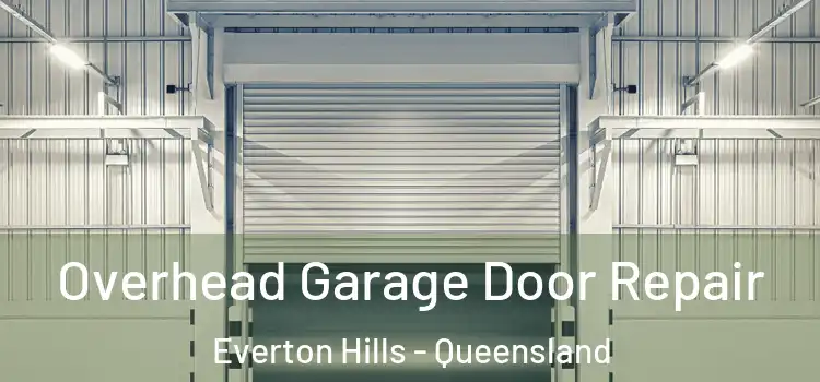 Overhead Garage Door Repair Everton Hills - Queensland