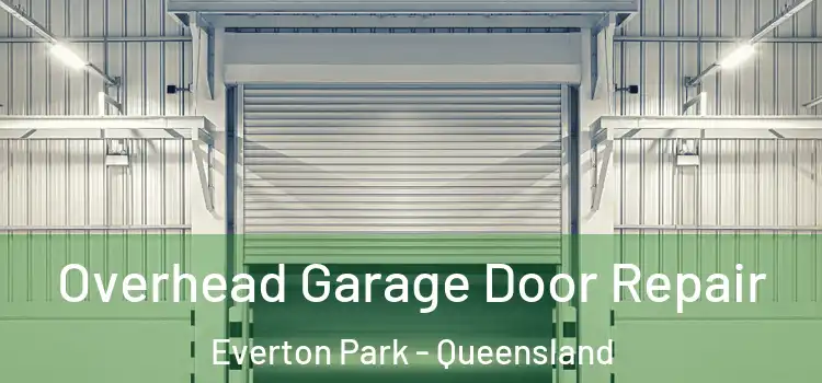 Overhead Garage Door Repair Everton Park - Queensland