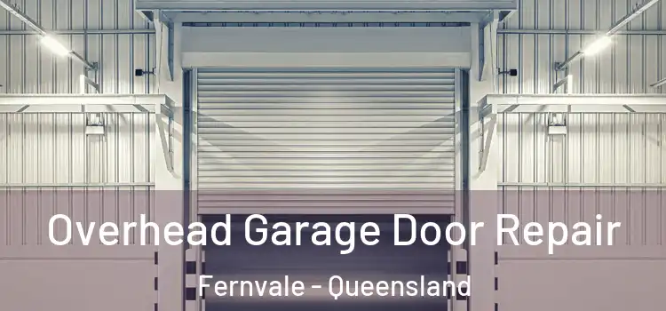 Overhead Garage Door Repair Fernvale - Queensland