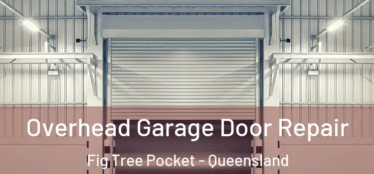 Overhead Garage Door Repair Fig Tree Pocket - Queensland