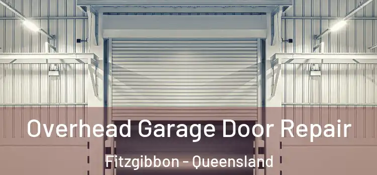 Overhead Garage Door Repair Fitzgibbon - Queensland
