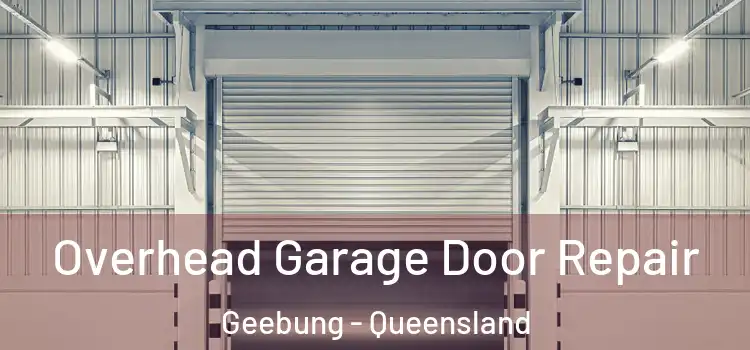 Overhead Garage Door Repair Geebung - Queensland