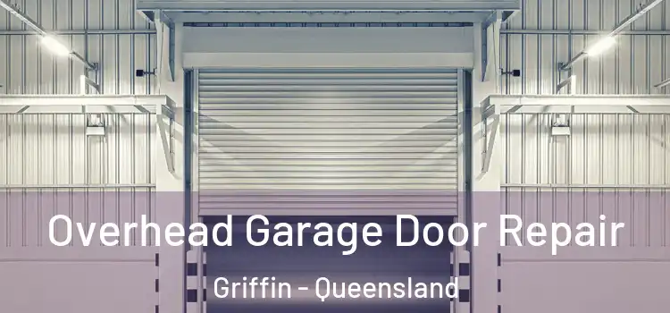 Overhead Garage Door Repair Griffin - Queensland
