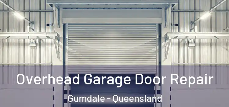 Overhead Garage Door Repair Gumdale - Queensland