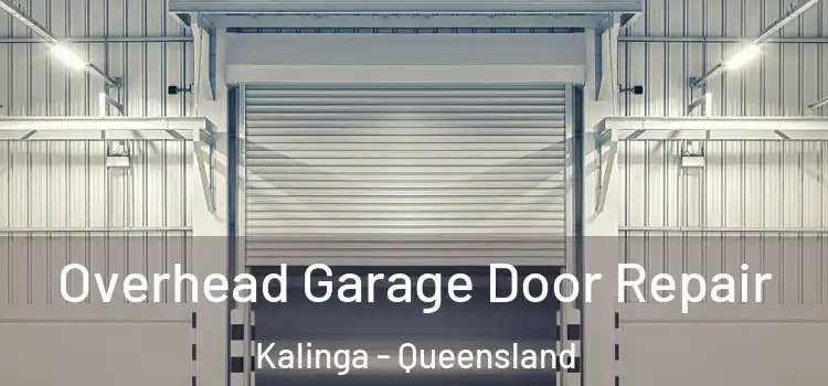 Overhead Garage Door Repair Kalinga - Queensland