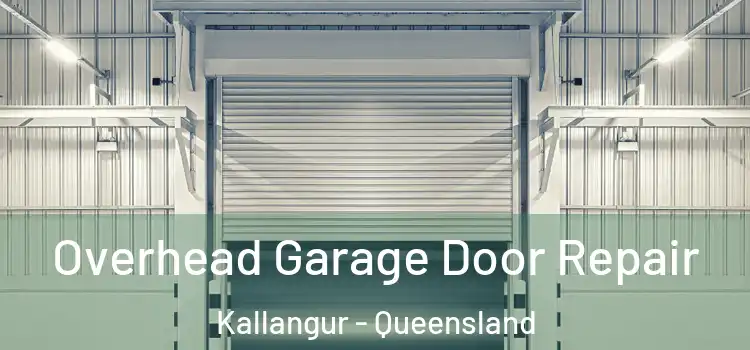 Overhead Garage Door Repair Kallangur - Queensland
