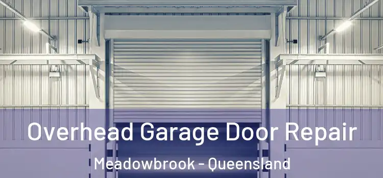 Overhead Garage Door Repair Meadowbrook - Queensland