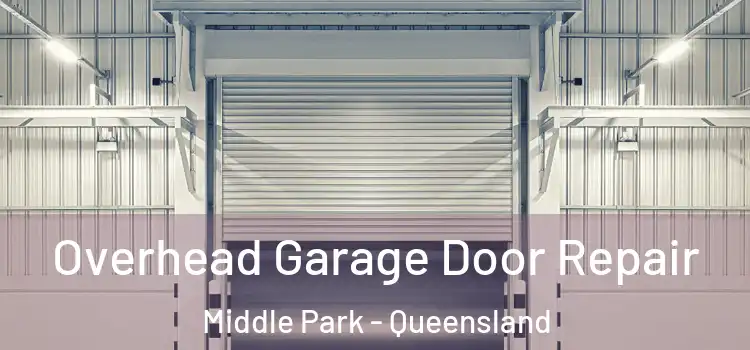 Overhead Garage Door Repair Middle Park - Queensland