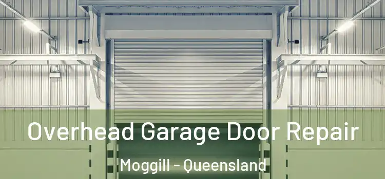 Overhead Garage Door Repair Moggill - Queensland