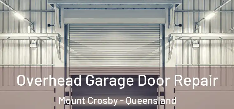 Overhead Garage Door Repair Mount Crosby - Queensland