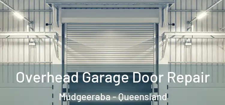 Overhead Garage Door Repair Mudgeeraba - Queensland