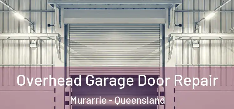 Overhead Garage Door Repair Murarrie - Queensland