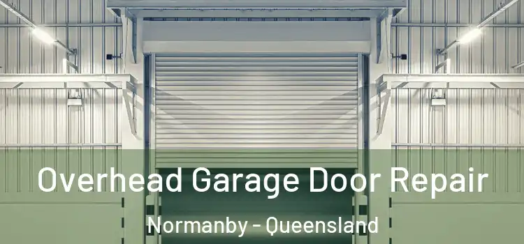 Overhead Garage Door Repair Normanby - Queensland