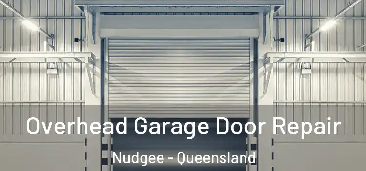 Overhead Garage Door Repair Nudgee - Queensland