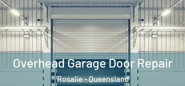 Overhead Garage Door Repair Rosalie - Queensland