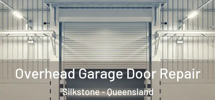 Overhead Garage Door Repair Silkstone - Queensland