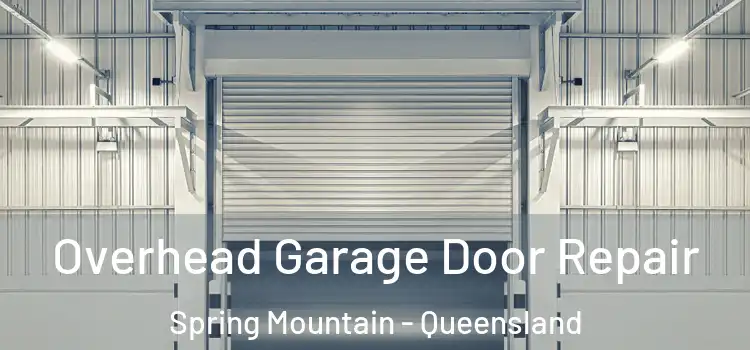Overhead Garage Door Repair Spring Mountain - Queensland