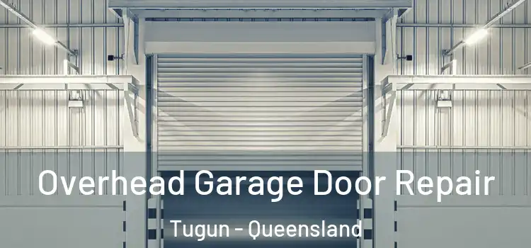 Overhead Garage Door Repair Tugun - Queensland