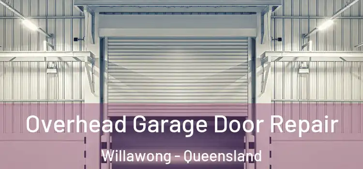 Overhead Garage Door Repair Willawong - Queensland