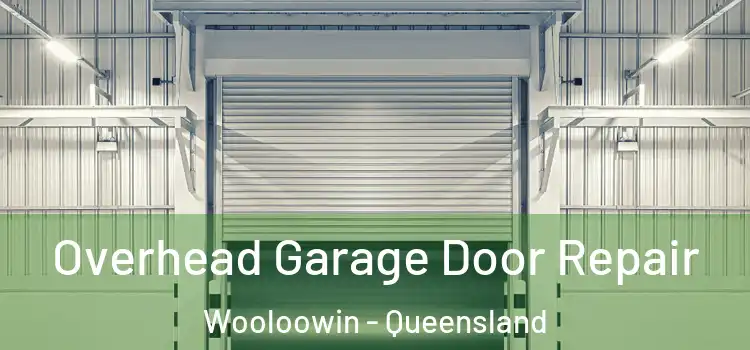 Overhead Garage Door Repair Wooloowin - Queensland