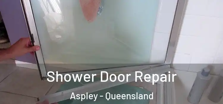Shower Door Repair Aspley - Queensland