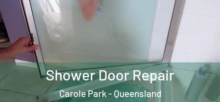 Shower Door Repair Carole Park - Queensland