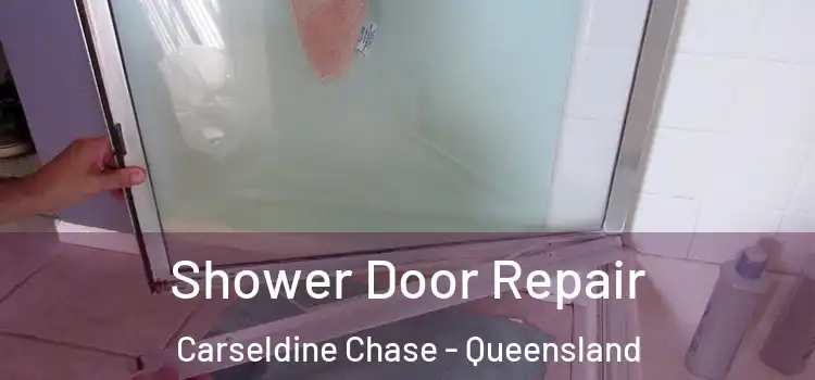 Shower Door Repair Carseldine Chase - Queensland