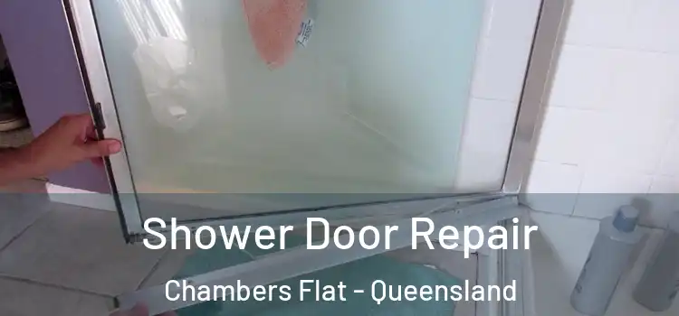 Shower Door Repair Chambers Flat - Queensland