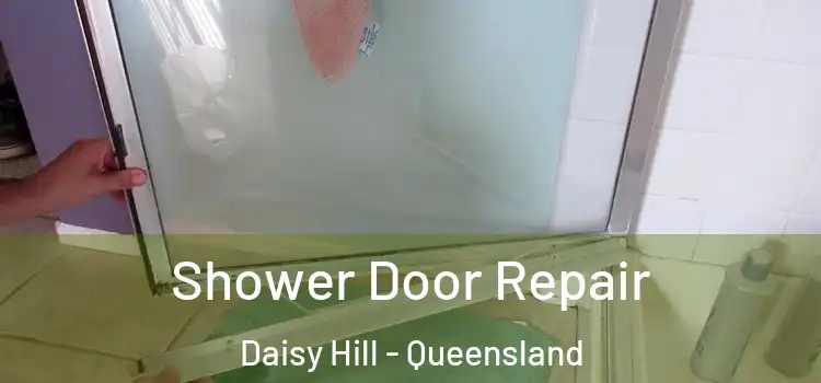 Shower Door Repair Daisy Hill - Queensland