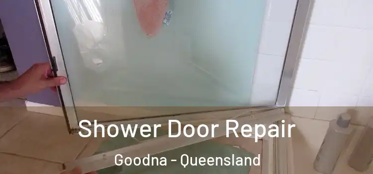 Shower Door Repair Goodna - Queensland