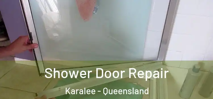 Shower Door Repair Karalee - Queensland