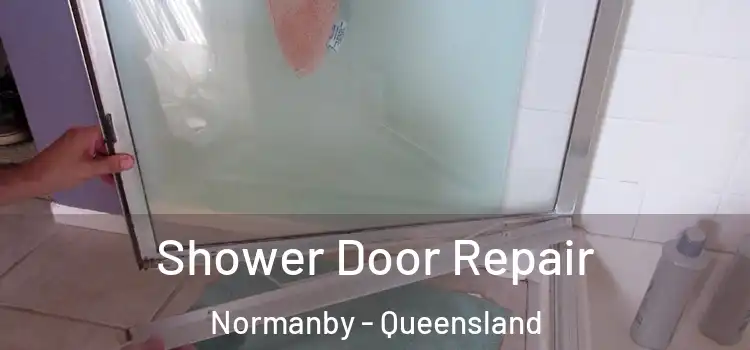 Shower Door Repair Normanby - Queensland