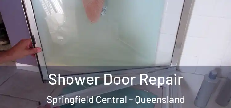 Shower Door Repair Springfield Central - Queensland