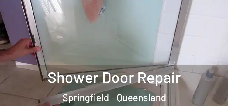 Shower Door Repair Springfield - Queensland