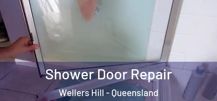 Shower Door Repair Wellers Hill - Queensland
