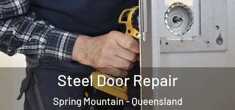 Steel Door Repair Spring Mountain - Queensland