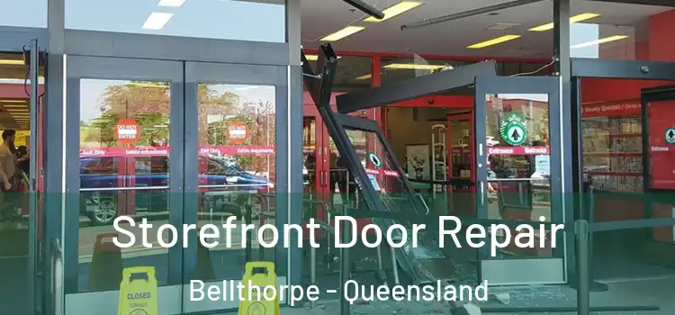Storefront Door Repair Bellthorpe - Queensland