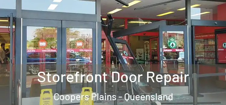 Storefront Door Repair Coopers Plains - Queensland