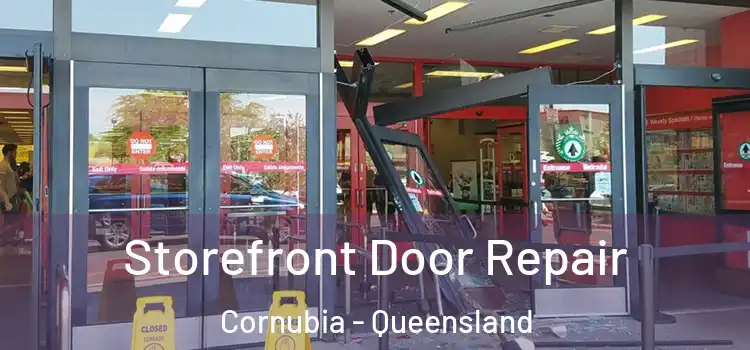Storefront Door Repair Cornubia - Queensland